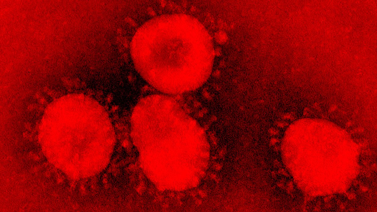 reportan-que-4-ninos-de-un-jardin-de-infantes-en-alemania-estan-infectados-por-coronavirus